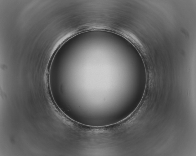 X0000090911190200708061517