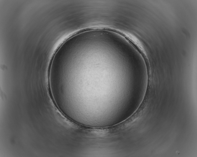 X0000090911191200708061517