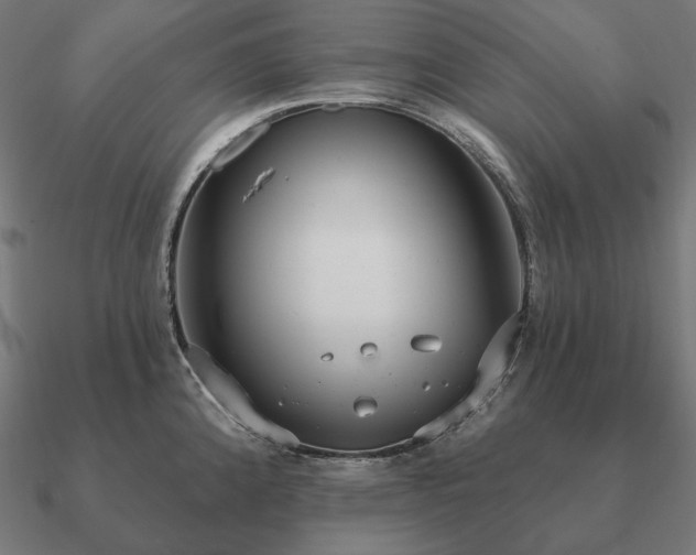 X0000090911192200708061517