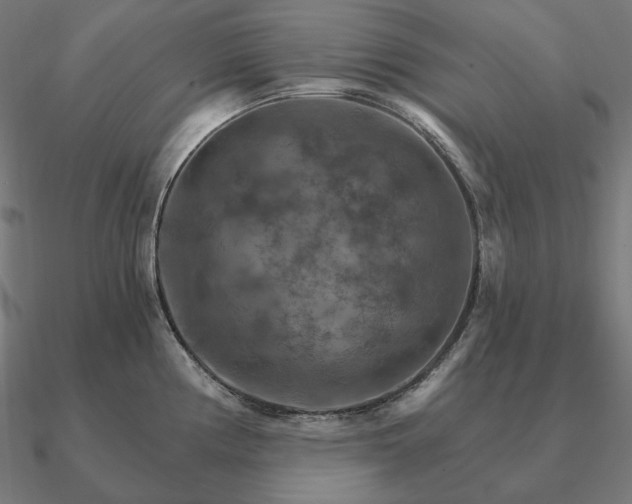 X0000090911194200708061517