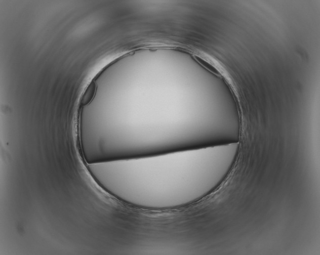 X0000090911195200708061517