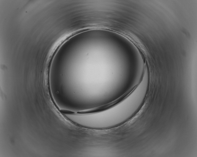 X0000090911196200708061517