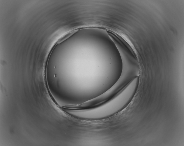 X0000090911197200708061517