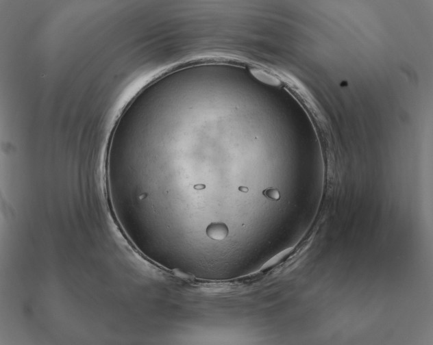 X0000090911199200708061517