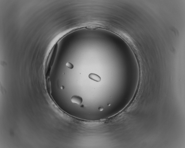 X0000090911200200708061517