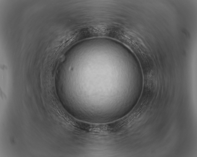 X0000090911201200708061516