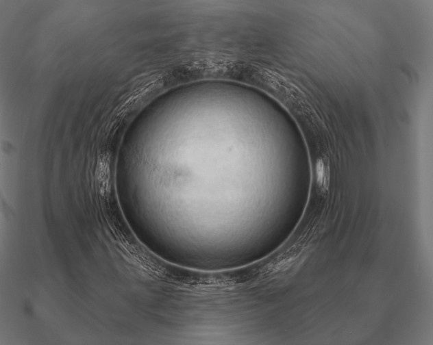 X0000090911203200708061516