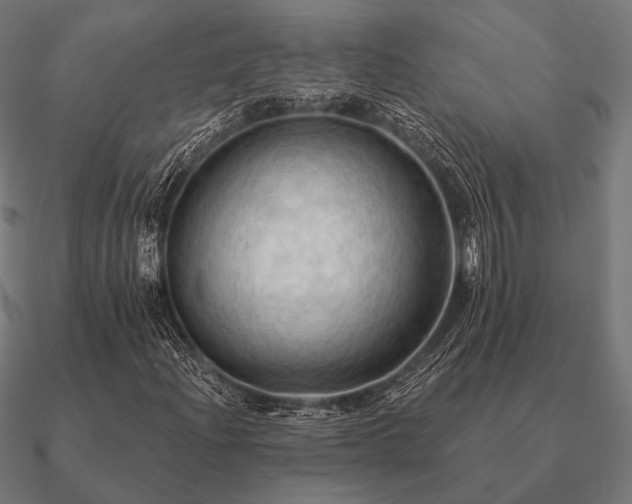 X0000090911204200708061516