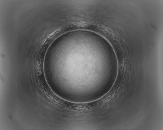 X0000090911205200708061516