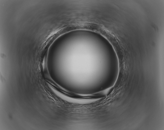 X0000090911206200708061516