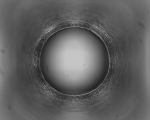 X0000090911207200708061516