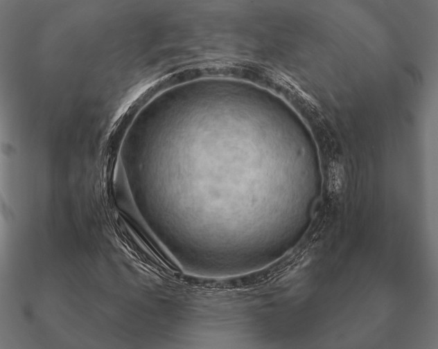 X0000090911208200708061516