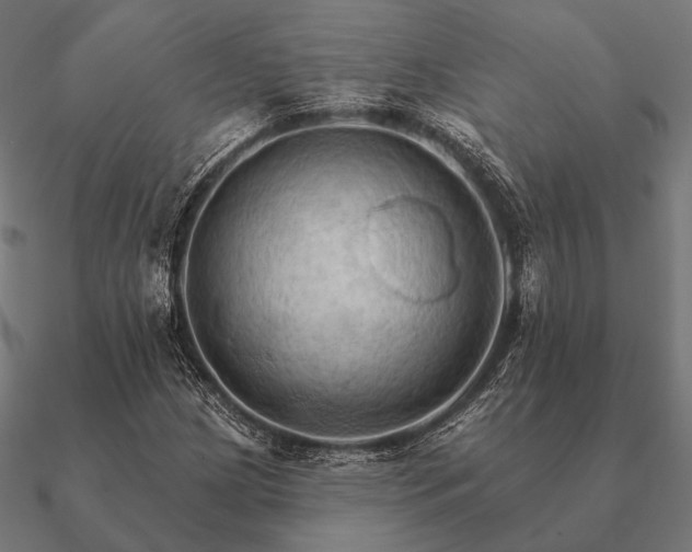 X0000090911209200708061516