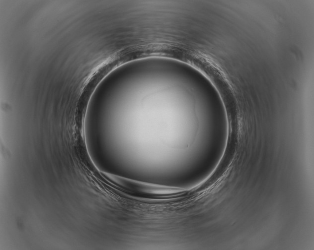 X0000090911210200708061516