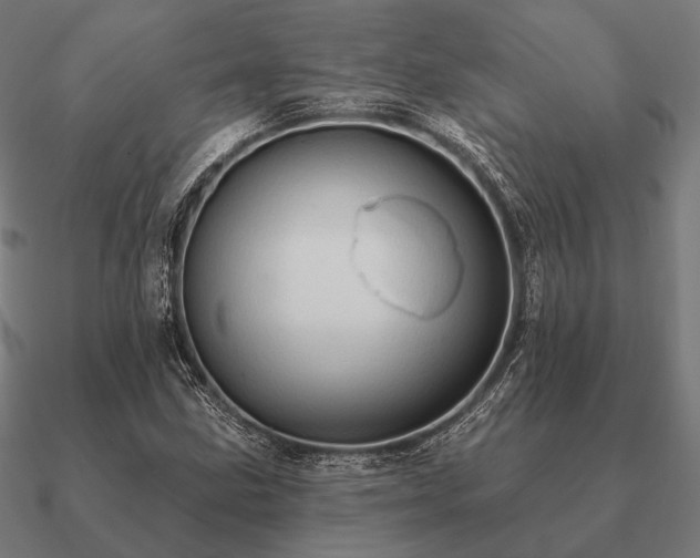 X0000090911211200708061516