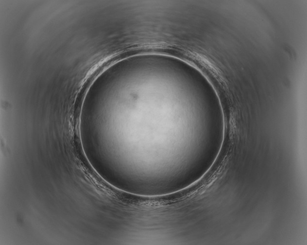 X0000090911212200708061516