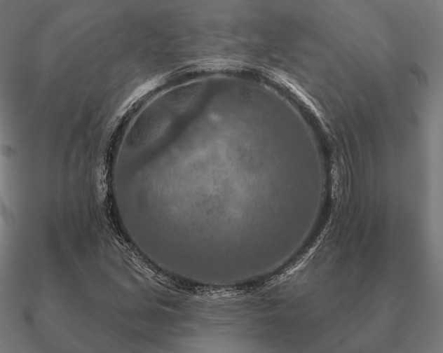 X0000090911213200708061516