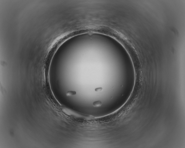 X0000090911214200708061516