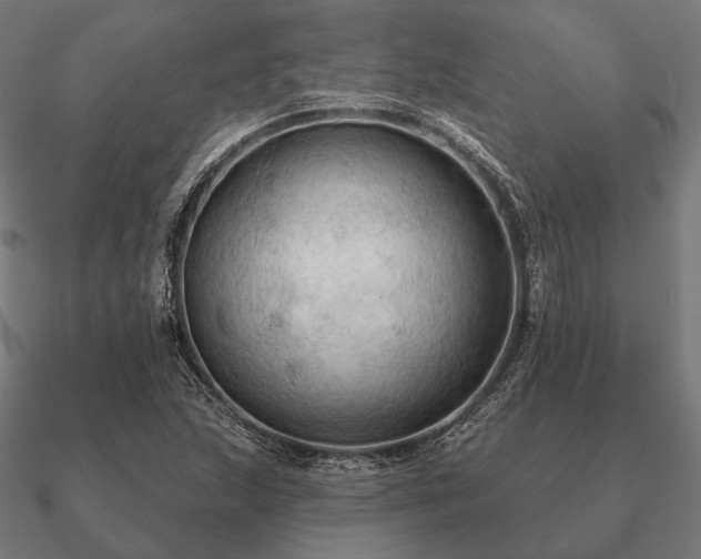 X0000090911215200708061516