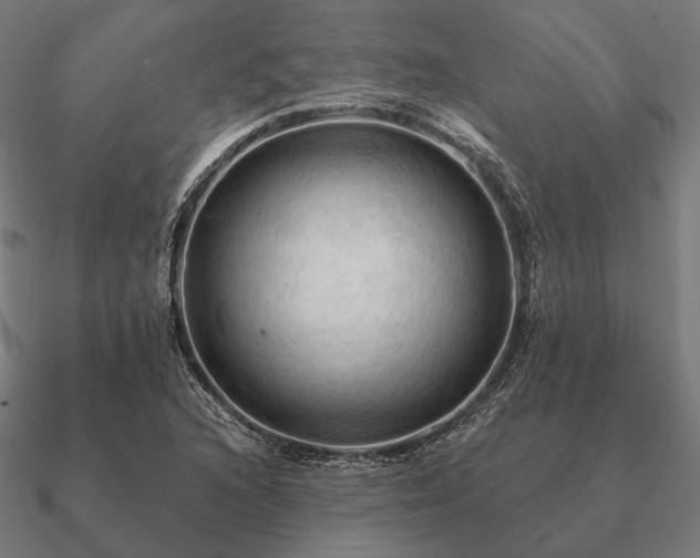 X0000090911216200708061516