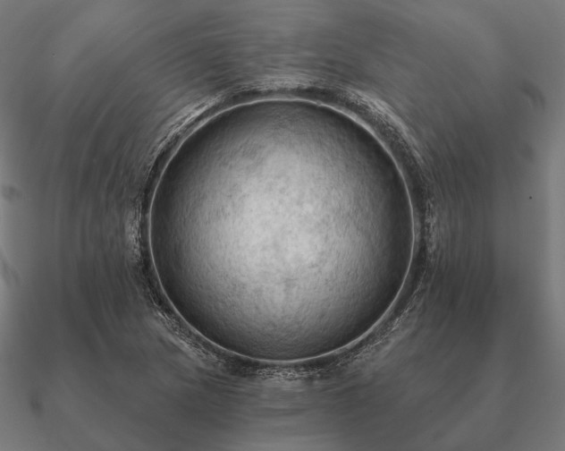 X0000090911217200708061516