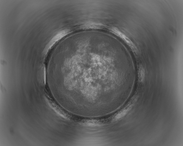 X0000090911219200708061516