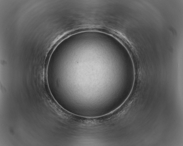 X0000090911220200708061516