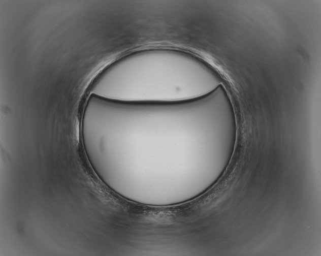 X0000090911221200708061516