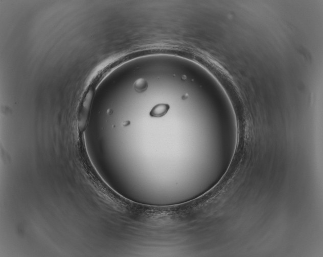 X0000090911222200708061516