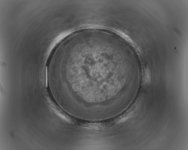 X0000090911223200708061516