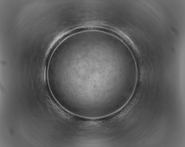 X0000090911224200708061516