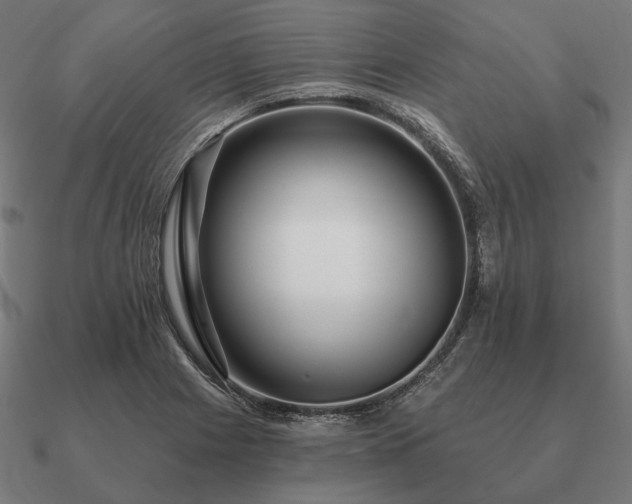 X0000090911225200708061516