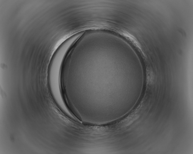 X0000090911226200708061516