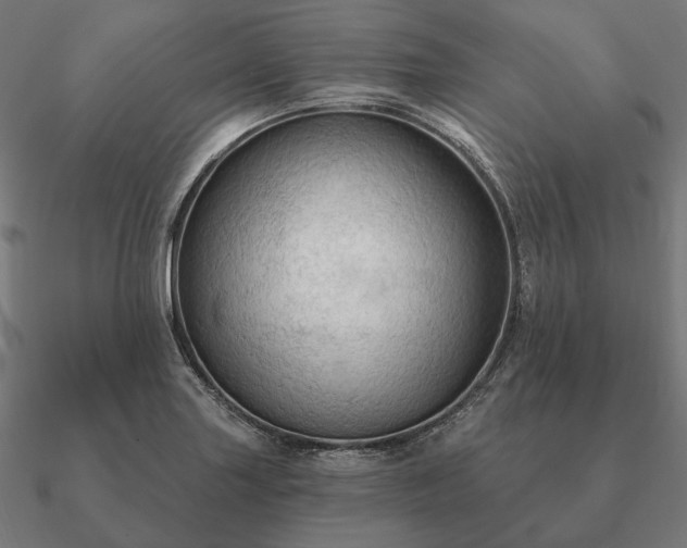 X0000090911227200708061516