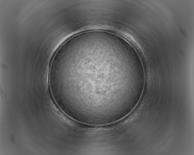 X0000090911228200708061516