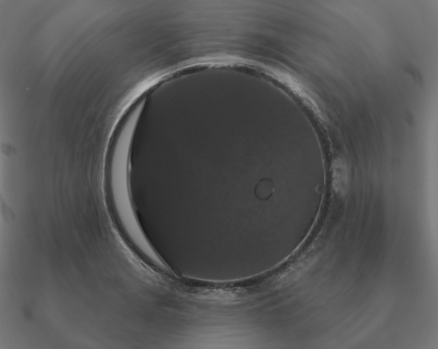 X0000090911229200708061516