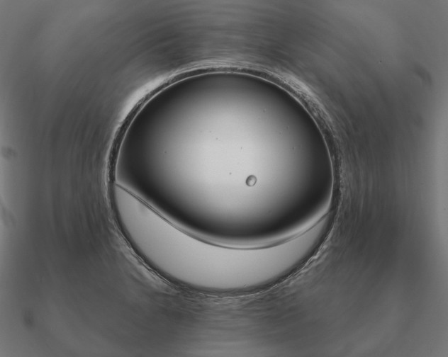 X0000090911230200708061516