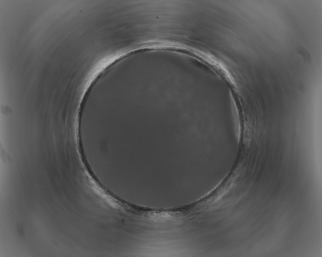 X0000090911231200708061516