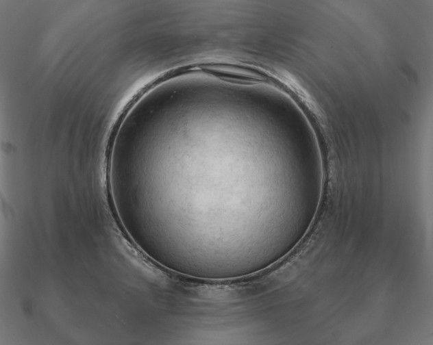 X0000090911232200708061516