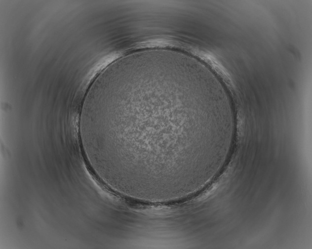 X0000090911233200708061516