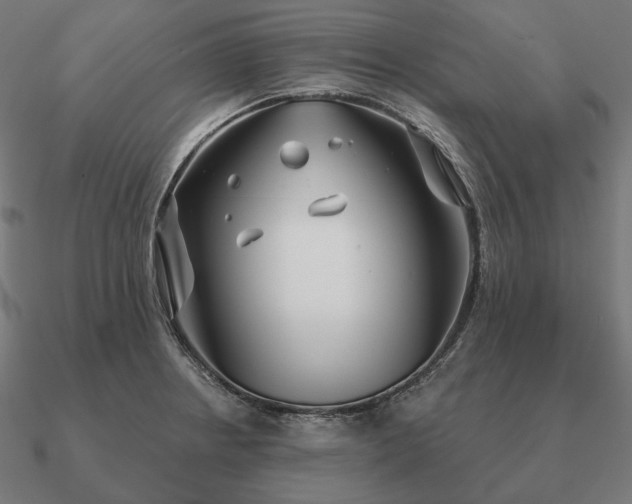 X0000090911234200708061516