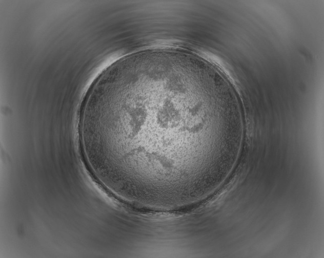 X0000090911235200708061516