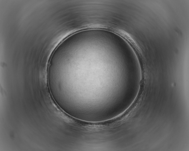 X0000090911236200708061516