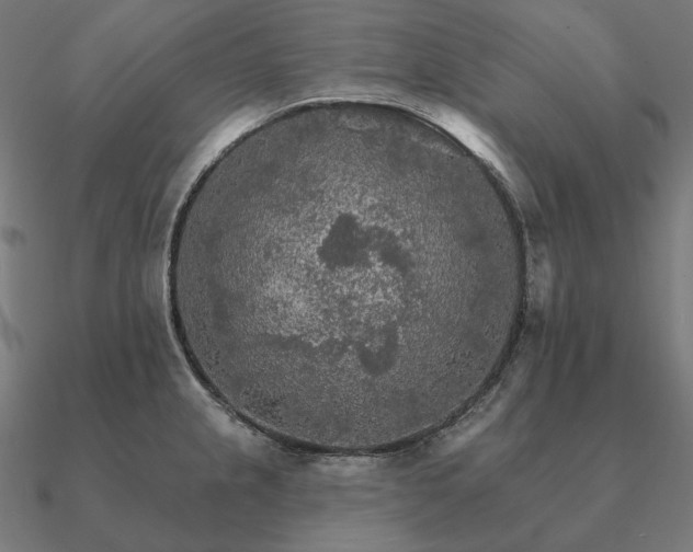 X0000090911237200708061516