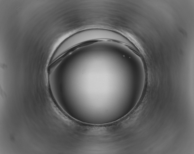 X0000090911238200708061516