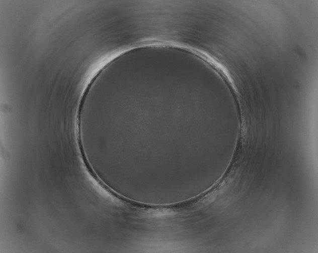 X0000090911239200708061516