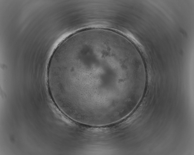 X0000090911240200708061516