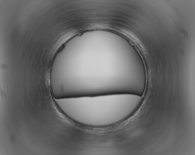 X0000090911241200708061516