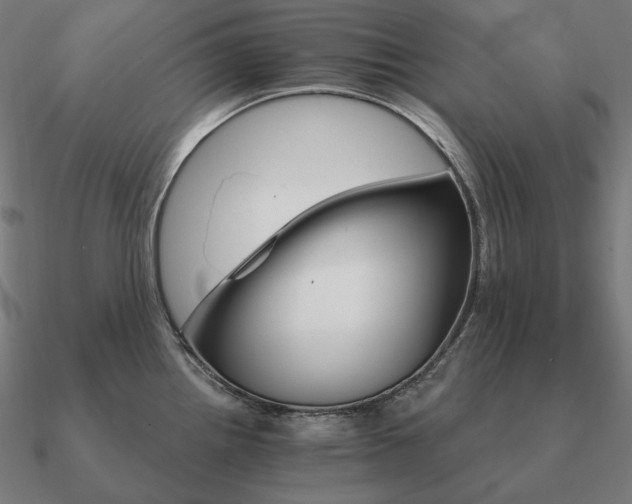 X0000090911242200708061516