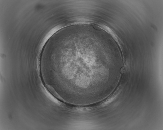 X0000090911243200708061516